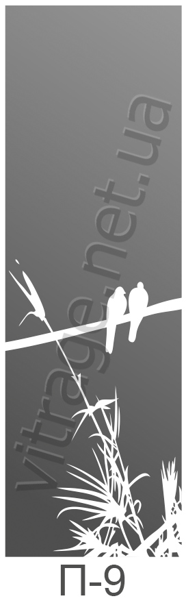 Зеркало с пескоструйным рисунком в шкаф-купе купить Киев